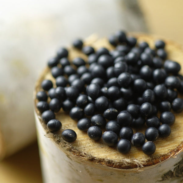 d1_600x600_crop_center.jpg?v=